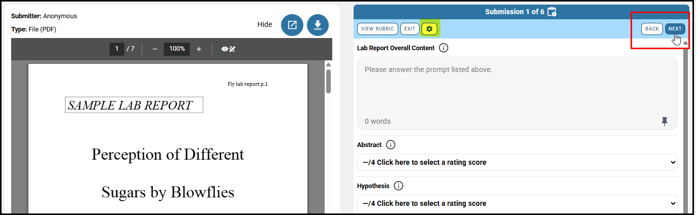 Instructor Review Submissions Back and Next Buttons.png