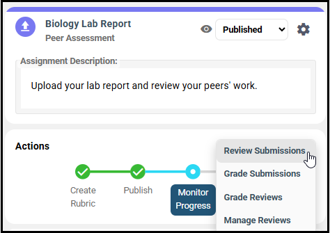 Instructor Review Submissions Button.png