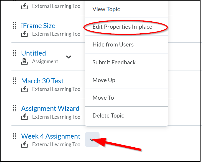 Brightspace_assignment_edit.png